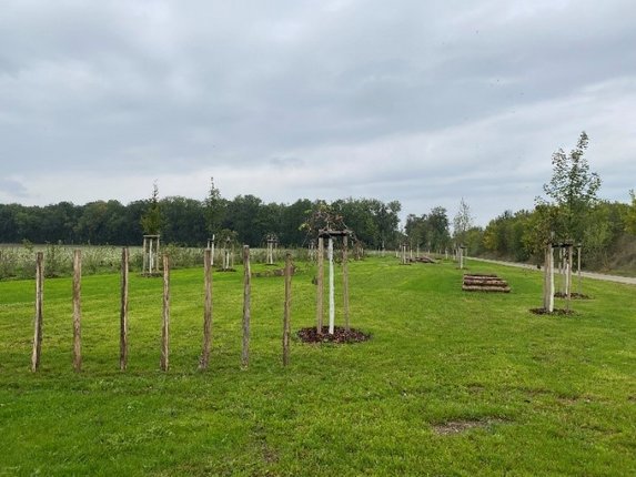 Foto Hundewiese