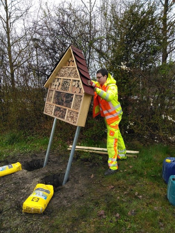 Foto Insektenhaus